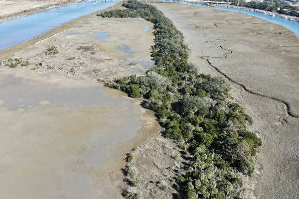 Overhead drone shot of IOP's Local Protected Land's Little Goat Island.