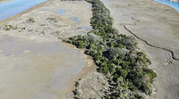 Overhead drone shot of IOP's Local Protected Land's Little Goat Island.