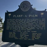 New enviromentally friendly plan for IOP, SC to plant more palm trees.