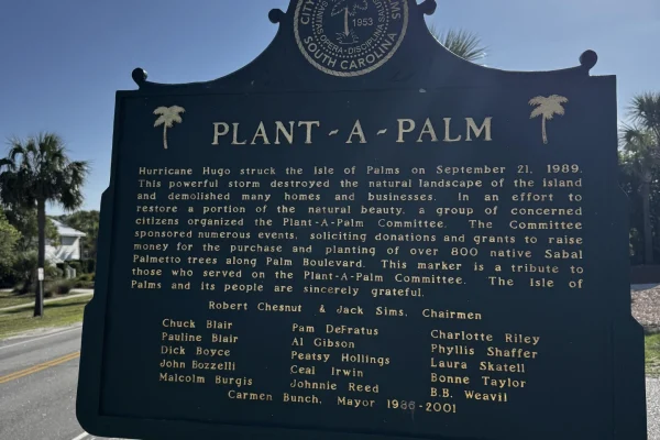 New enviromentally friendly plan for IOP, SC to plant more palm trees.