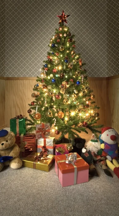 Christmas tree and presents on Isle of Palms, South Carolina.