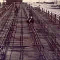 Photo of IOP, SC's past steeplechase that is currently on on display at Charleston Muesum.