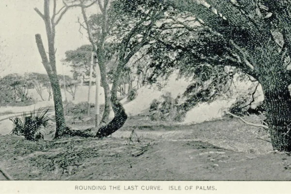 Picture from before IOP, South Carolina had paved roads.