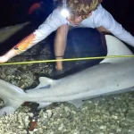 Wild Life Biology instructor teaching IOP's youth the ins-and-outs on sharks.