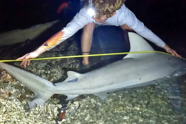 Wild Life Biology instructor teaching IOP's youth the ins-and-outs on sharks.