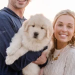 Photo of Baker, IOP's latest Golden Retriever puppy resident, and a young couple that are his owners.
