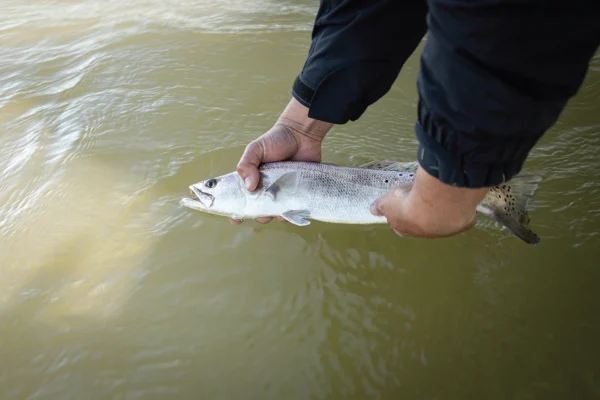 SC DNR agent holding a fish as he explains the current weather cold snaps and why fishers should practice catch and release