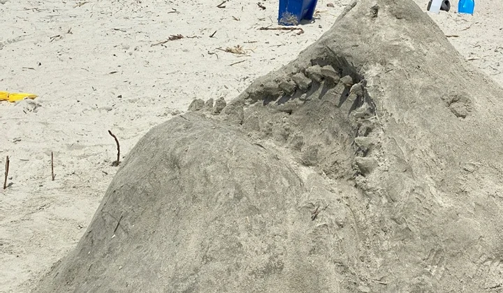 An artistic rendition of the Jaws shark using beach sand.