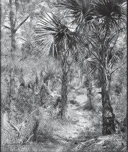 An image of IOP, SC that was selected by the United States Library of Congress.