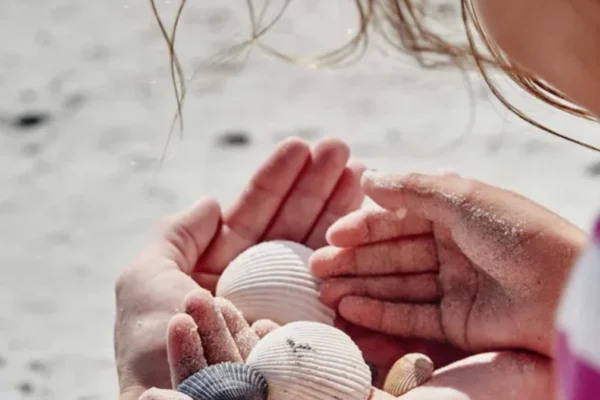 beach, exploration, nature, findings, mother nature