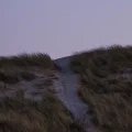 Tourism photo: a beach path. Photo by Peter Conlan on Unsplash.