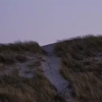 Tourism photo: a beach path. Photo by Peter Conlan on Unsplash.