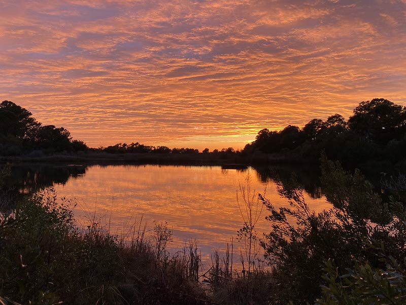 A beautiful photo of Dewees Island during a sunset.