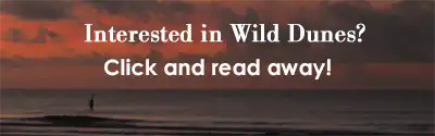 If you're interested in more Wild Dunes reading, click and go!