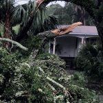 Picture of a large tree fallen onto an IOP house, with a collapsed roof, caused by Tropical Storm Debby.