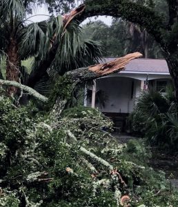 Picture of a large tree fallen onto an IOP house, with a collapsed roof, caused by Tropical Storm Debby.