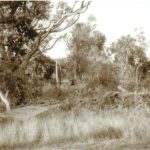 A horizontal landscape sepia photograph of what is believed to be the Holloways' only shelter was near this location on Goat Island.