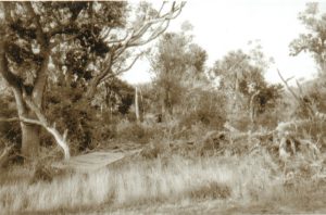 A horizontal landscape sepia photograph of what is believed to be the Holloways' only shelter was near this location on Goat Island.