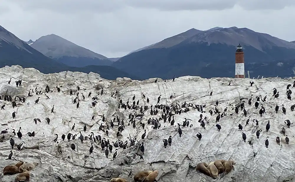 Tierra del Fuego features a lighthouse and a sea lion colony. Photo provided.